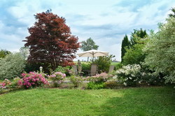 Aussichtsplattform mit sommerlichen Rosengarten