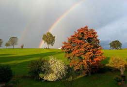 Wunderschöner Regenbogen hinter dem Haus