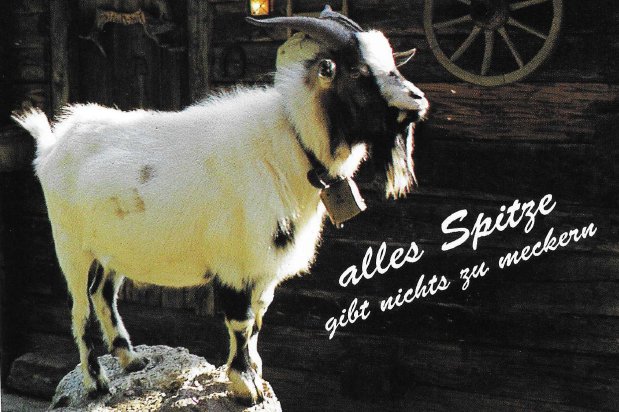 Sehr nette G�stebewertungskarte von Familie Veit f�r Ferienwohnung Linde